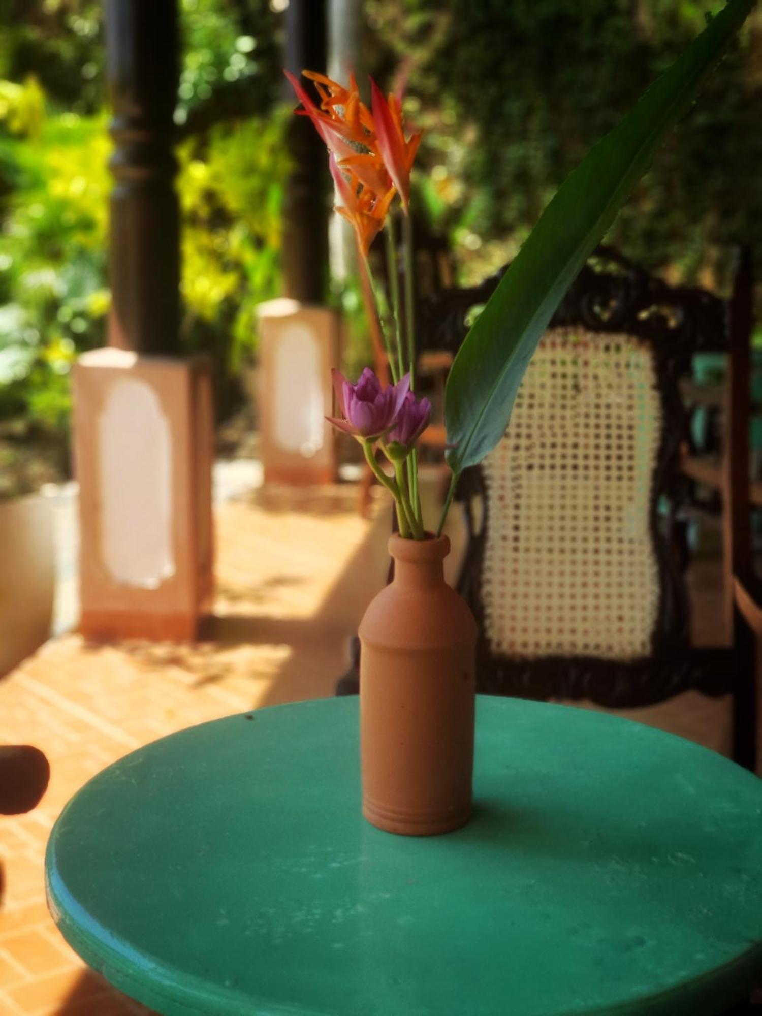 Hill House Guest Hotel Mirissa Bagian luar foto